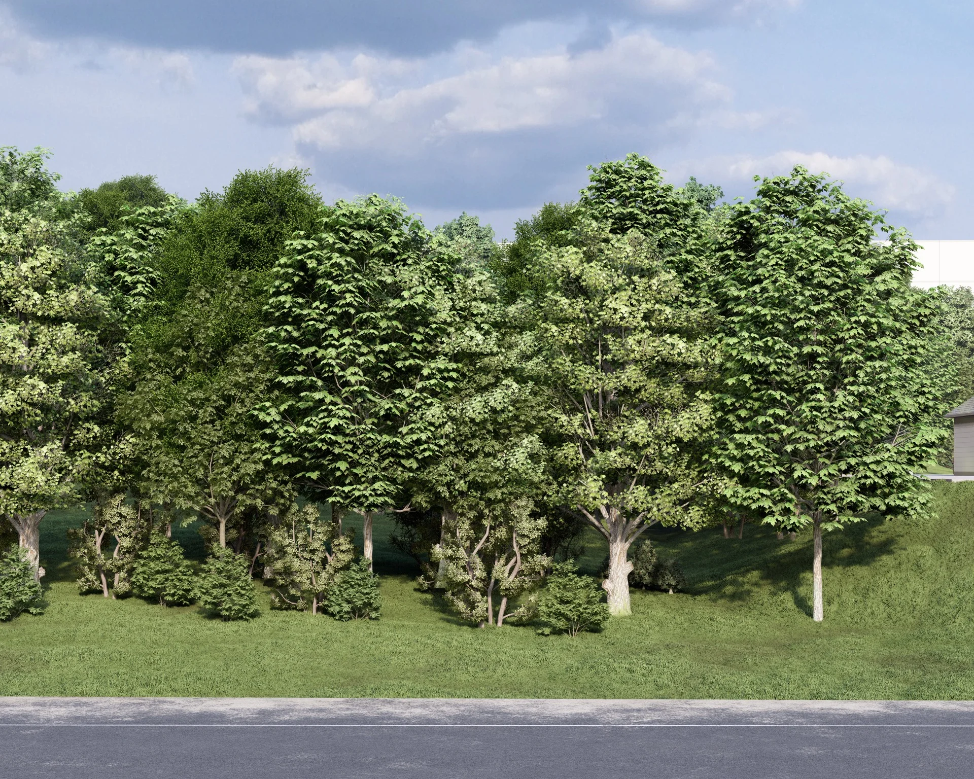 Road approach rendering showing a landscaped buffer and roadway edge