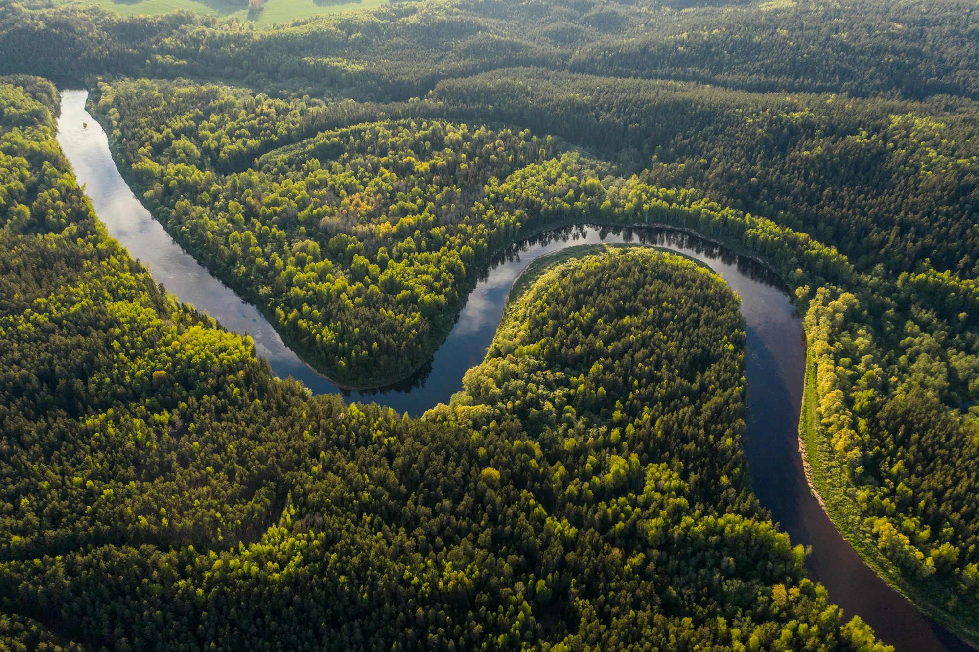 Aerial view of a wooded river corridor